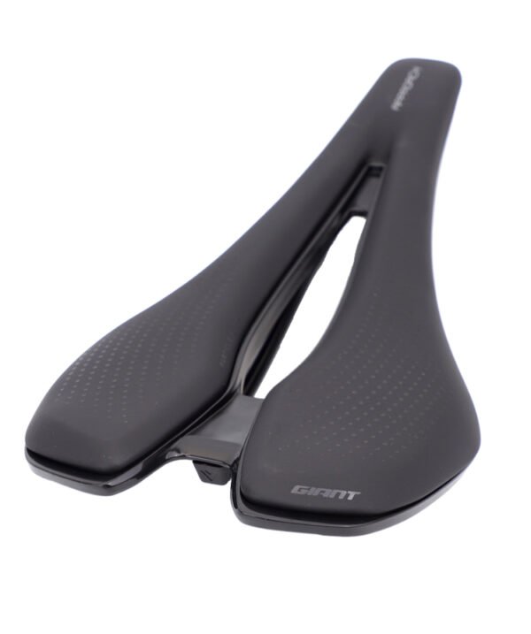Giant Approach Saddle
